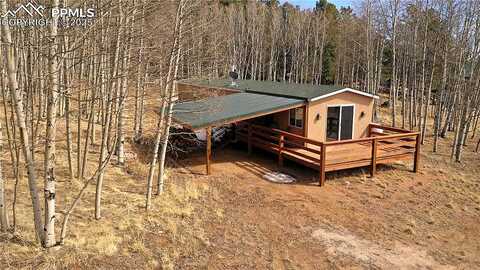 Vagabond Creek, LAKE GEORGE, CO 80827