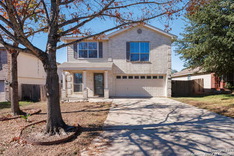 Goldgap Fox, SAN ANTONIO, TX 78245