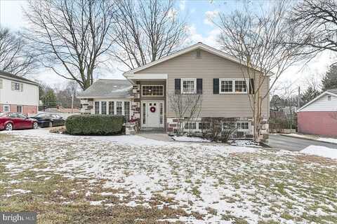 Marilyn, HAVERTOWN, PA 19083