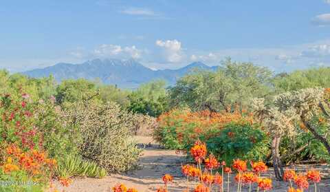 Rio Mayo, GREEN VALLEY, AZ 85614
