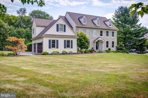 Apple Tree, GLEN MILLS, PA 19342
