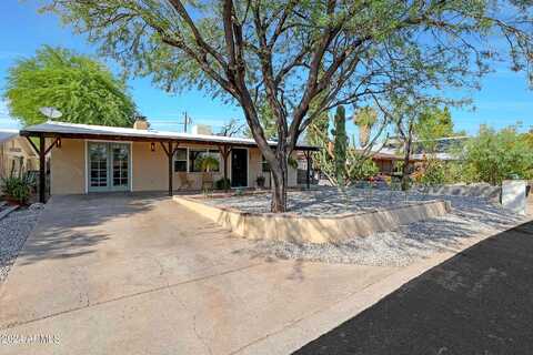Lupine, PHOENIX, AZ 85020