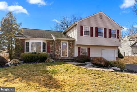 Scarlet Oak, YARDLEY, PA 19067