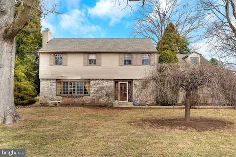 Stout, AMBLER, PA 19002