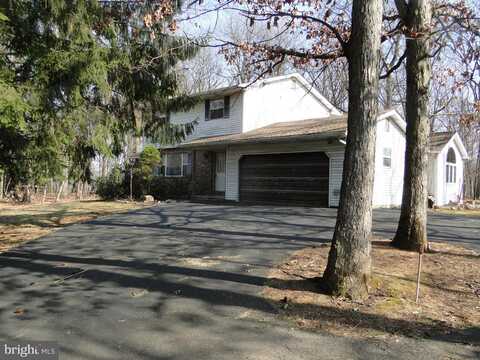 Peppermint, COOPERSBURG, PA 18036