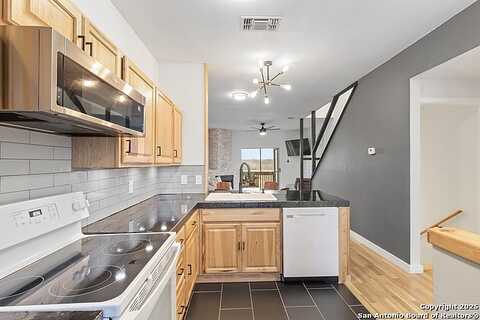 Apricot, SAN ANTONIO, TX 78247