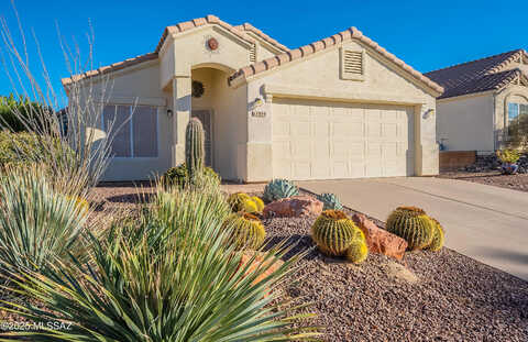 Meteor, TUCSON, AZ 85737