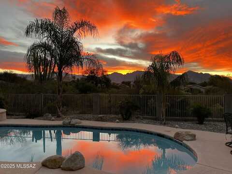 Chynna Rose, TUCSON, AZ 85737