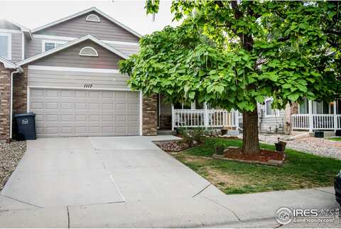 Lavender, LOVELAND, CO 80537