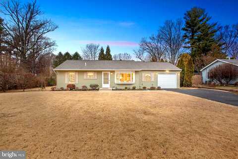 Maple, DOYLESTOWN, PA 18901