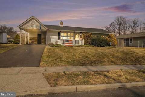 Timber, LEVITTOWN, PA 19054