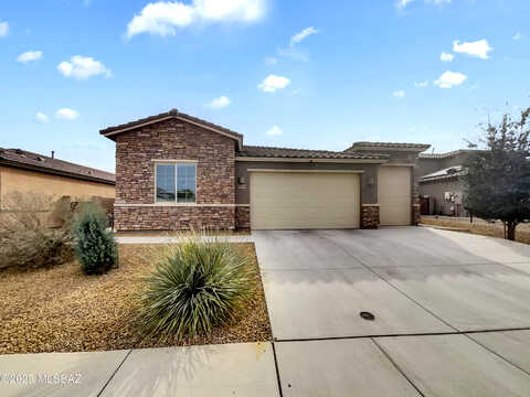 Pintail, MARANA, AZ 85653