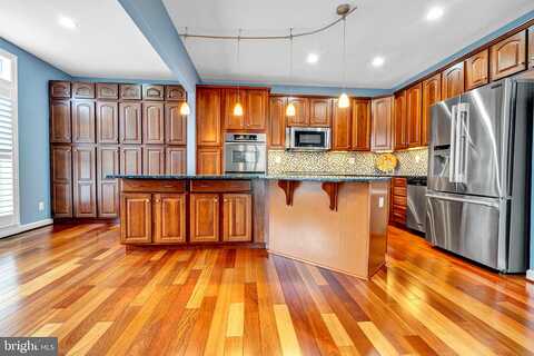 Savanna, POTTSTOWN, PA 19465
