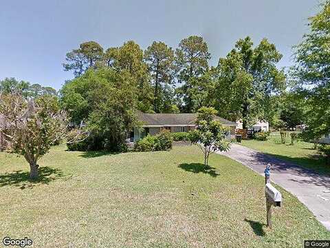 Dolphin, BRUNSWICK, GA 31525