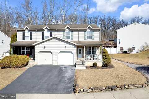 Frank, NORTHAMPTON, PA 18067