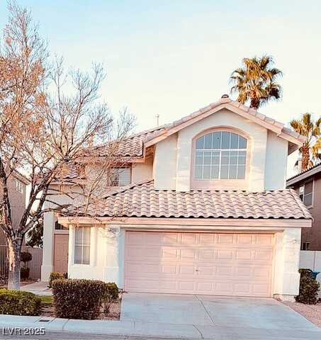 Cotton Rose, LAS VEGAS, NV 89134