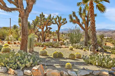 Bonita, YUCCA VALLEY, CA 92284