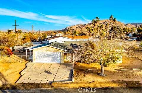 Conejo, JOSHUA TREE, CA 92252