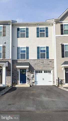 Paperbark, DOWNINGTOWN, PA 19335