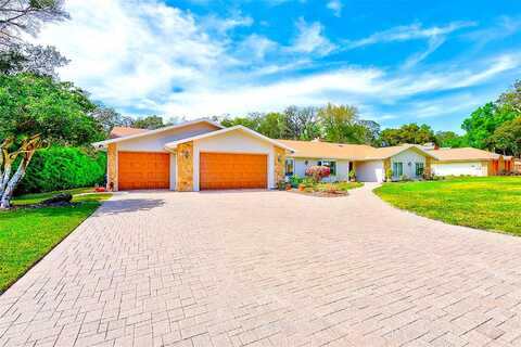 Lake In The Woods, SPRING HILL, FL 34607