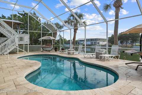 Hibiscus, HERNANDO BEACH, FL 34607