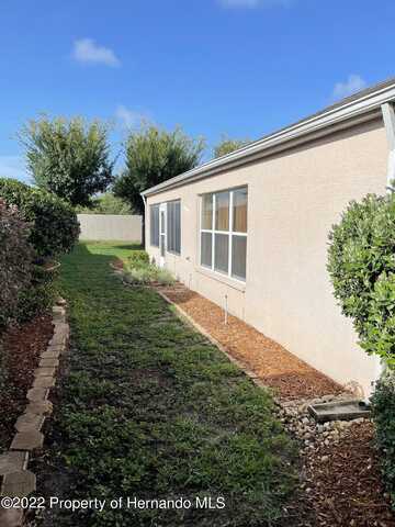 Royal Palm, SPRING HILL, FL 34608