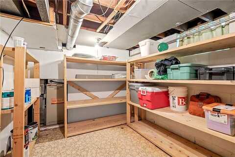 Belle, SAINT PAUL, MN 55112