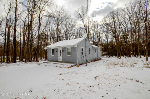 Fir, EFFORT, PA 18330