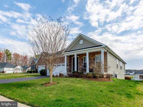 Copper Beech, FREDERICKSBURG, VA 22407
