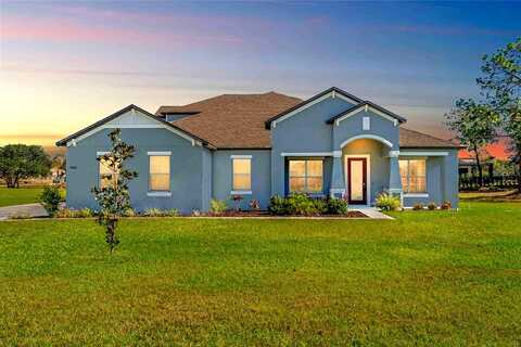 Pantera, WEEKI WACHEE, FL 34613