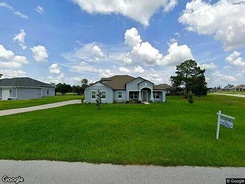 Pantera, WEEKI WACHEE, FL 34613