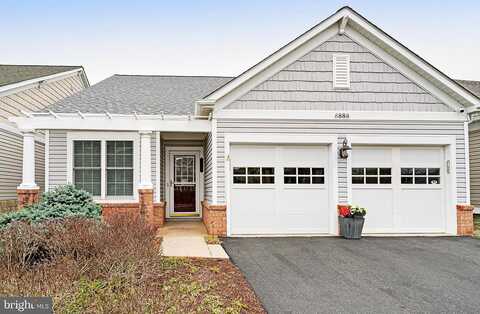Calla Lily, LORTON, VA 22079