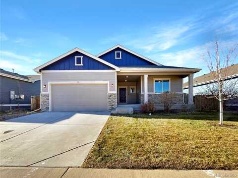 Saddleback, MILLIKEN, CO 80543