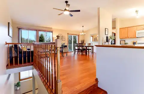 Jasmine, COTTAGE GROVE, MN 55016