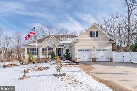 Noel, FREDERICKSBURG, VA 22408