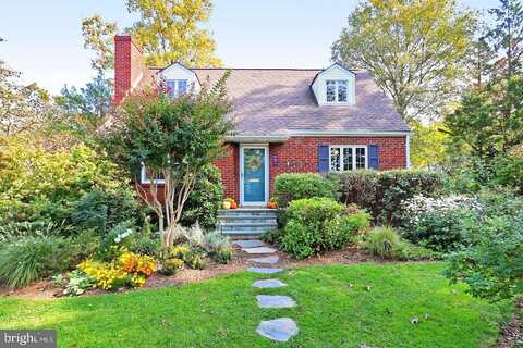 Buchanan, ARLINGTON, VA 22204