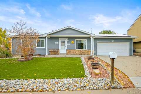 Dahlia, CENTENNIAL, CO 80121