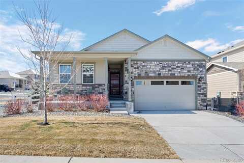 Point Rider, CASTLE ROCK, CO 80104