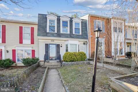 Blue Jay, WOODBRIDGE, VA 22193