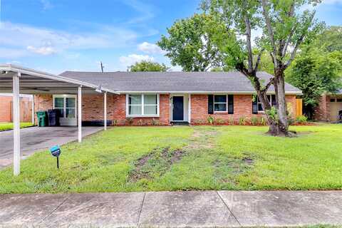 Dalmatian, HOUSTON, TX 77045