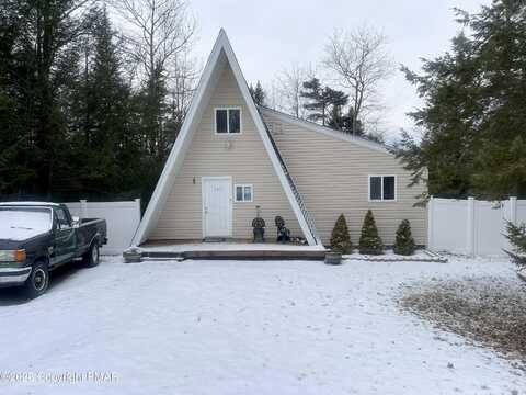Scotch Pine, POCONO SUMMIT, PA 18346