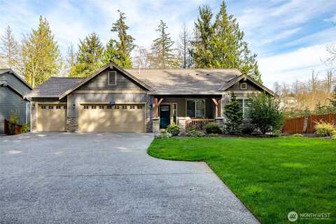 Lupine, MOUNT VERNON, WA 98273