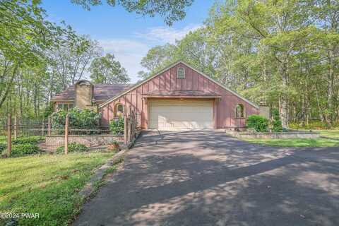 Eagle, BUSHKILL, PA 18324