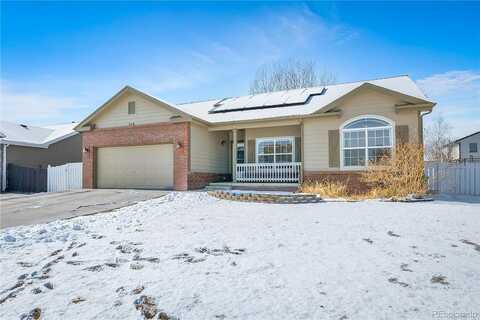 Maple, EATON, CO 80615