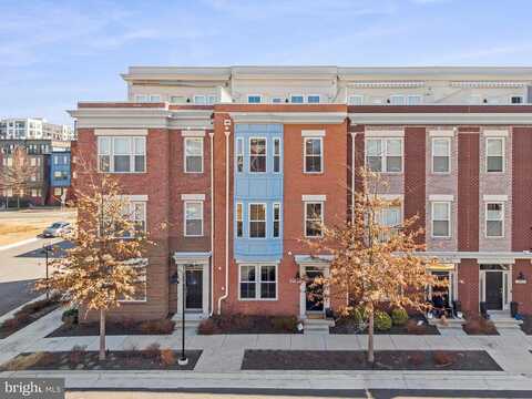 Winter Jack, FAIRFAX, VA 22031