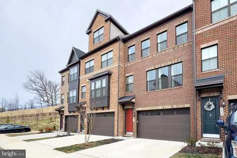 Hokie, ALEXANDRIA, VA 22306