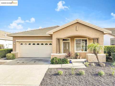 Cellini, BRENTWOOD, CA 94513