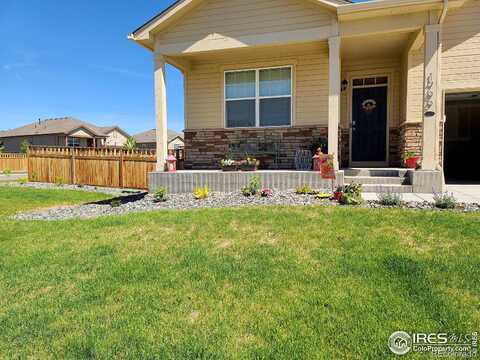 Jade, BRIGHTON, CO 80603