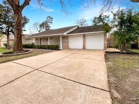 Deer Lick, HOUSTON, TX 77090