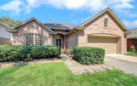 Whitlock, HOUSTON, TX 77062